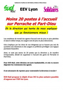 tract EEV suppressions emplois EEV Lyon