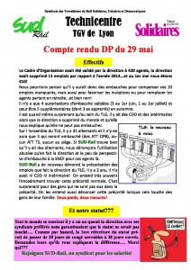 compte%20rendu%20dp%2029%20mai