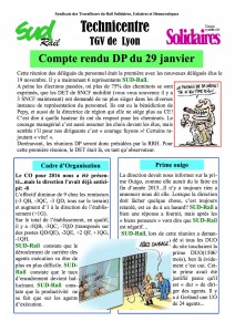 compte rendu dp 29 janvier 2016